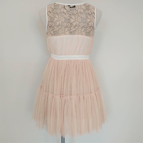 🎃 Blush by Young Threads Tulle and Lace Dress - Picture 2 of 10